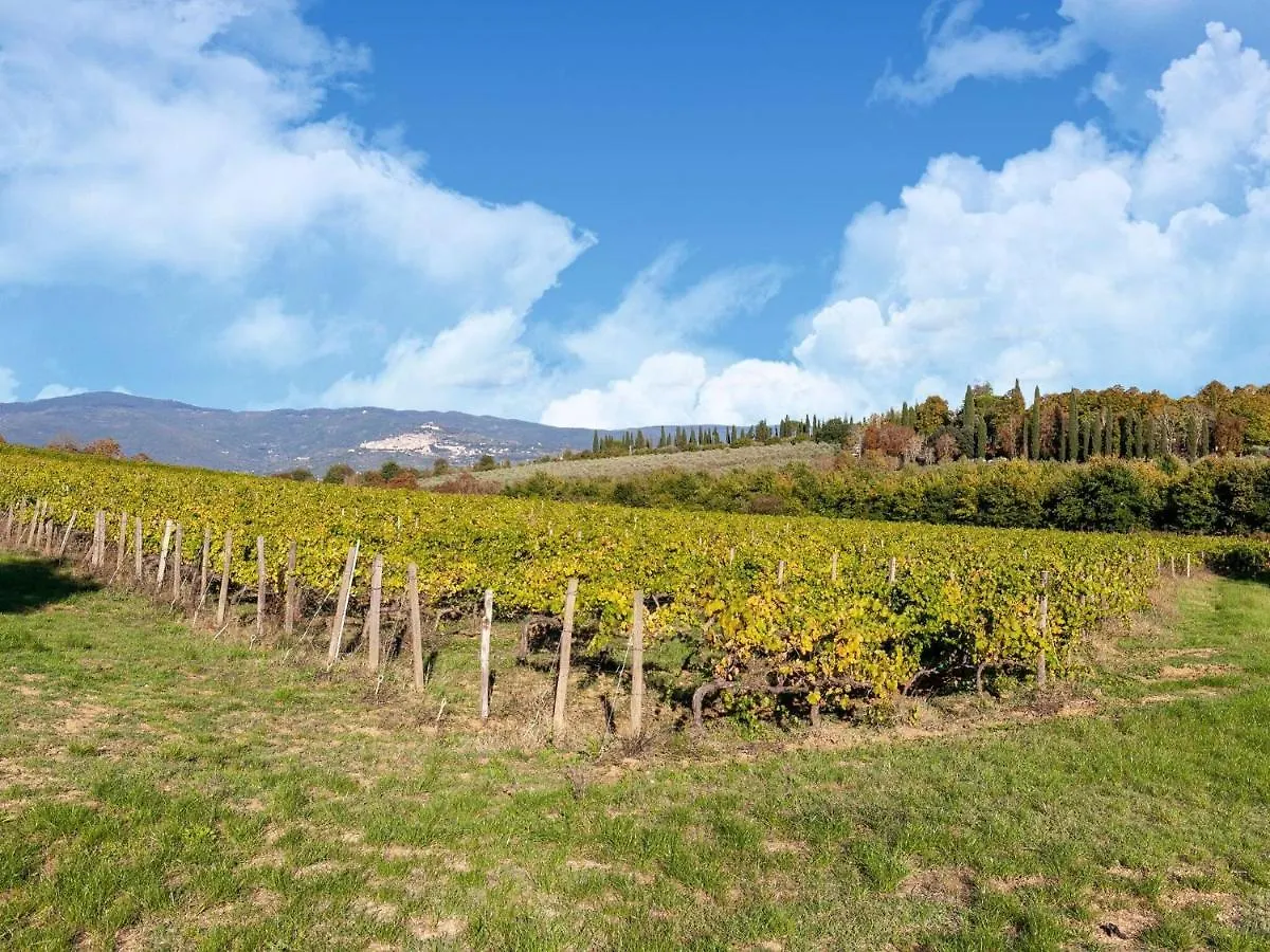 Holiday home Belvilla By Oyo Ippocastano Cortona Italy